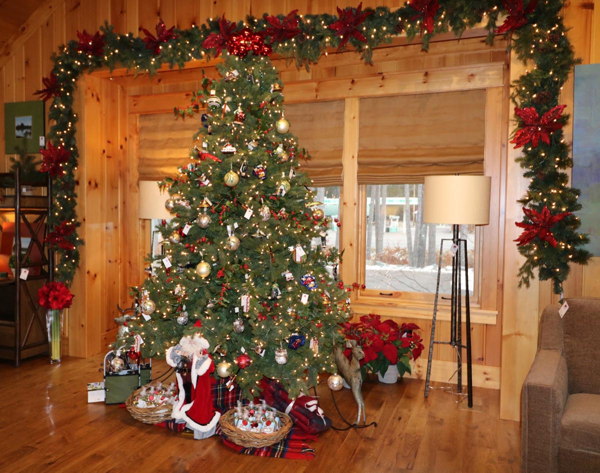 Lakeside Living Tree in Window