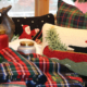 lakeside living cabin gift ideas and decor christmas northwoods wi