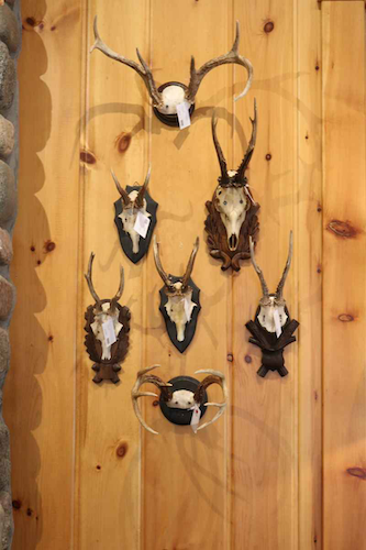 northwoods wi 54545 wall decor antlers lakeside living cabin 